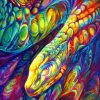 Serpent Arc-En-Ciel