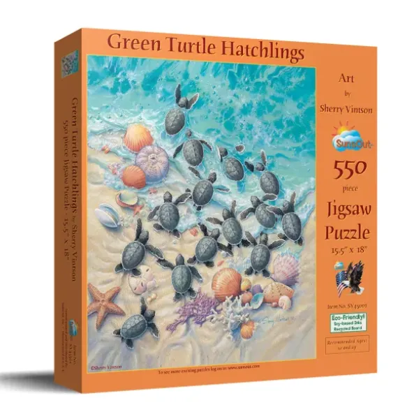 Sherry Vintson - Green Turtle Hatchlings