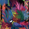 Sigal Orane - La Naissance de l'Oiseau