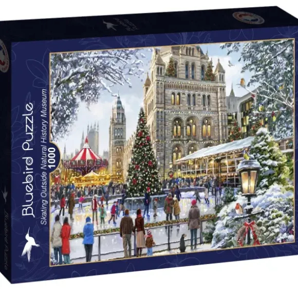 Skating Outside Natural History Museum