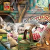 Snoozing in The Shed