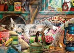 Snoozing in The Shed