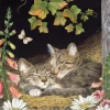 Soeurs