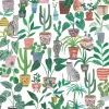 Sofroniou Miranda - Chats et Plantes