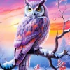 Soirée Idéale du Hibou