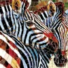 Stained Glass Zebras