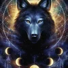 Star Line - Loup