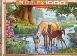 Steve Crisp - Steve Crisp - The Fell Ponies