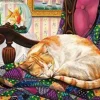 Sweet Dreams