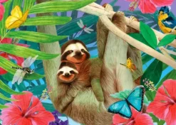 Sweet Sloths