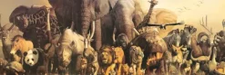 Takino Haruo - Haruo Takino - Noah's Ark
