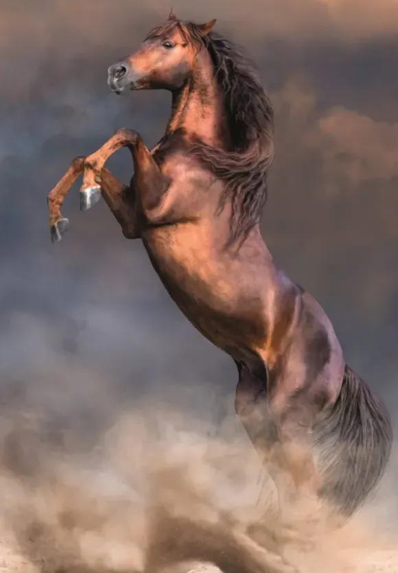 Étalon Rouge Sauvage
