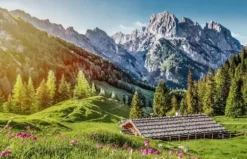 Été dans les Alpes
