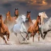 The Horse Race