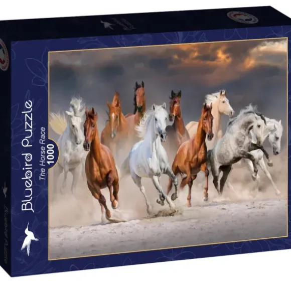 The Horse Race