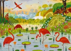 Thomas Alain - Flamants des Caraïbes