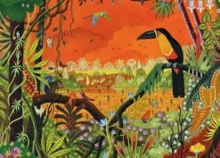 Thomas Alain - Toucan Ariel