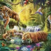Tigres au Plan d'Eau