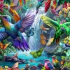 Tropical Hummingbirds