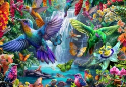 Tropical Hummingbirds