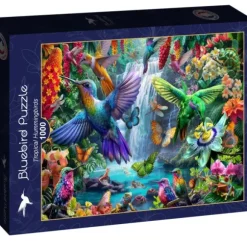 Tropical Hummingbirds