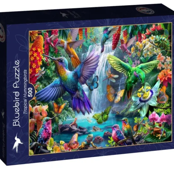 Tropical Hummingbirds
