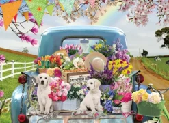 Truck de Printemps