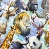 Têtes d'Animaux