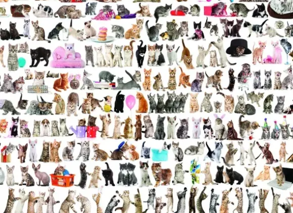 Un Monde de Chats