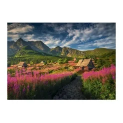 Vallée de la Gasienica