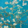 Van Gogh Vincent - Van Gogh : Branche d'amandier en fleurs