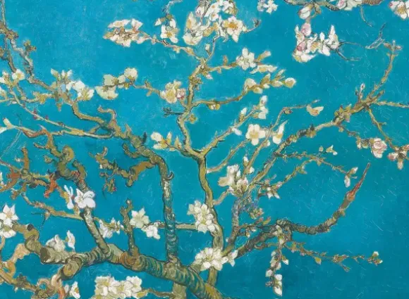 Van Gogh Vincent - Van Gogh : Branche d'amandier en fleurs