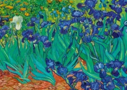Van Gogh Vincent - Vincent Van Gogh - Irises, 1889