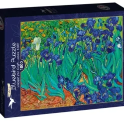 Van Gogh Vincent - Vincent Van Gogh - Irises, 1889