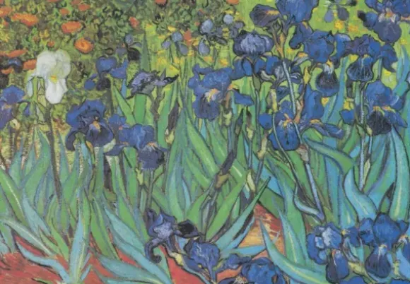 Van Gogh Vincent - Vincent Van Gogh - Saint-Remy - Les Iris, 1889