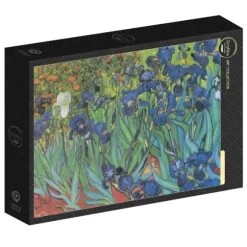 Van Gogh Vincent - Vincent Van Gogh - Saint-Remy - Les Iris, 1889