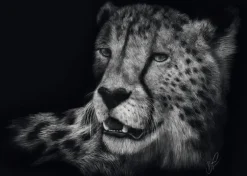 Véloce – Le Guépard : Sous le Signe de la Grâce