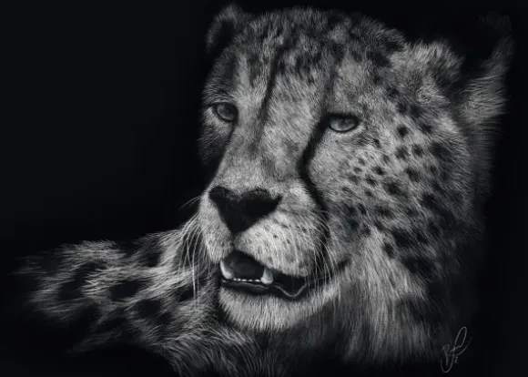Véloce – Le Guépard : Sous le Signe de la Grâce