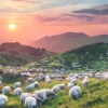 Von Humboldt Alexander - Sheep and Volcanoes