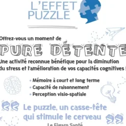 Voyage en Montgolfière