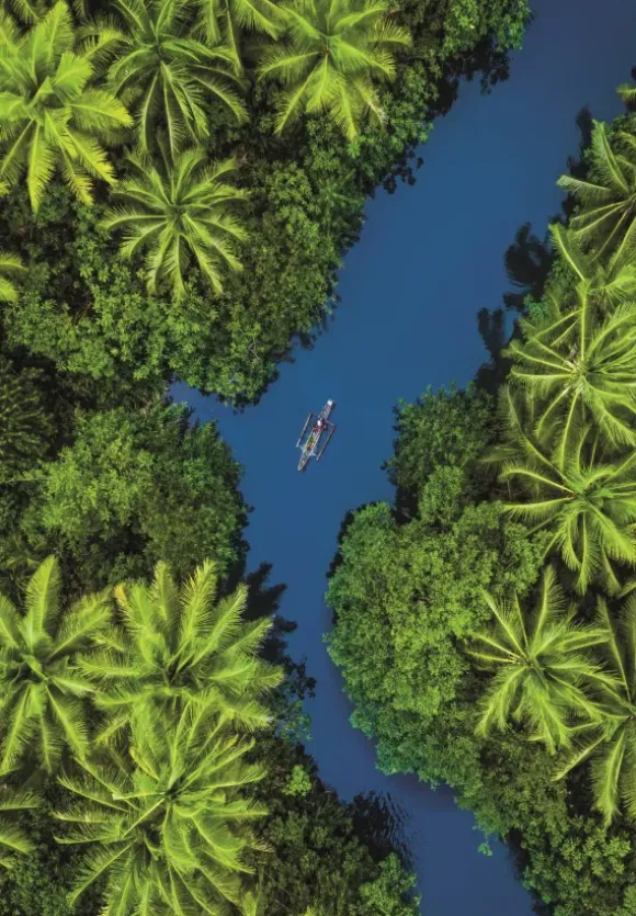 Vue Aérienne Tropicale