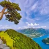 Vue du Lac d'Uri, Suisse