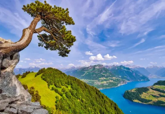 Vue du Lac d'Uri, Suisse