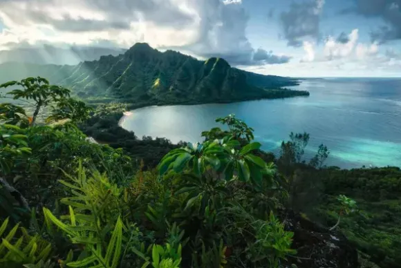 Vue sur Hawaï