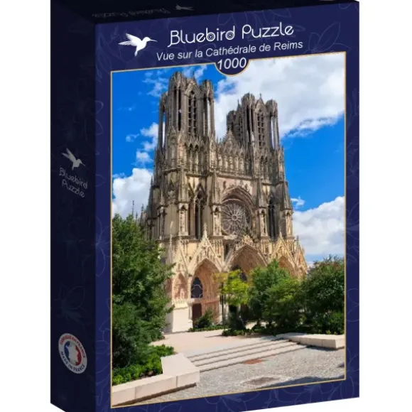 Vue sur la Cathédrale de Reims