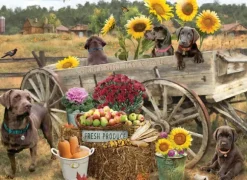 Wagon de Choc