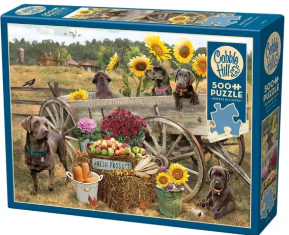 Wagon de Choc