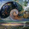 Wall Joséphine - Josephine Wall - Nautilus