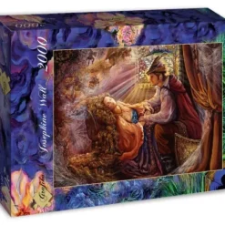 Wall Joséphine - Josephine Wall - La Belle au Bois dormant