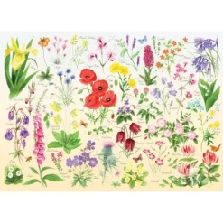Wildflowers